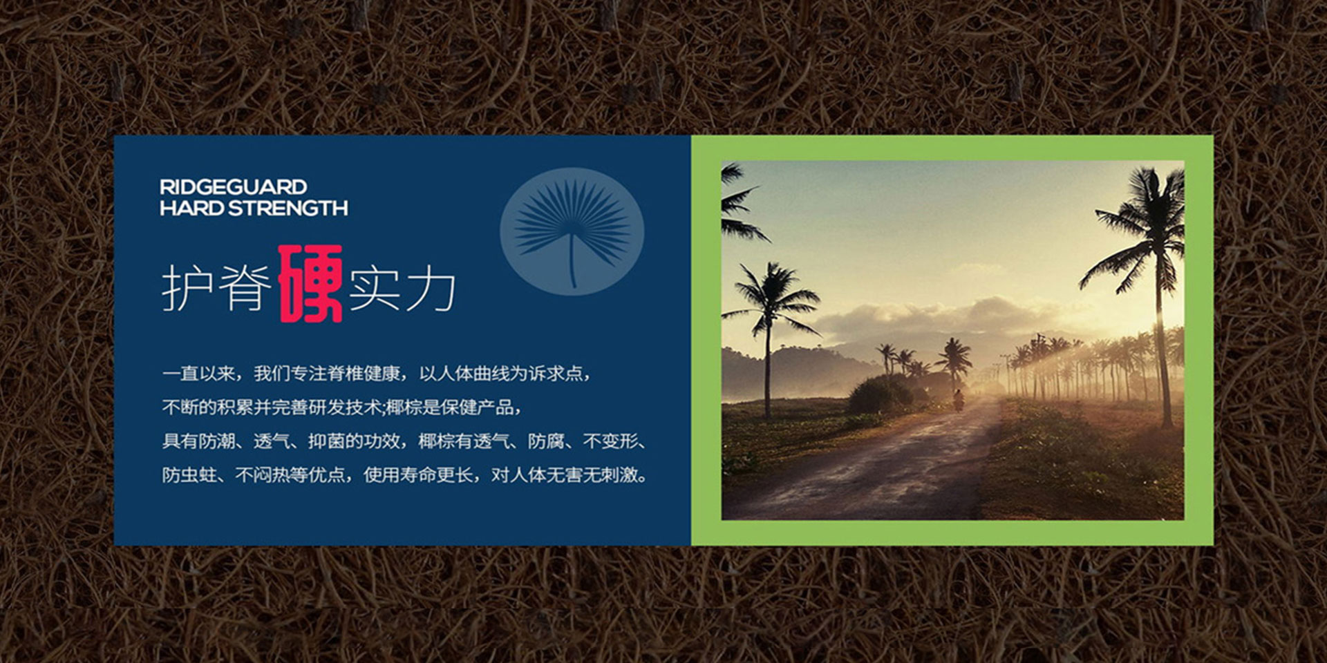 草莓视频网站