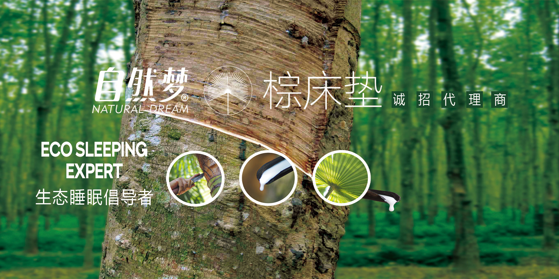 草莓视频网站