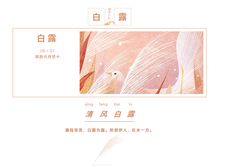 草莓视频网站